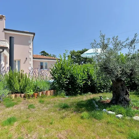 Mit Privatpool Fuer 8 Personen Ca 150 Qm In Vrznaveri, Istrien Istrische Riviera Holiday home *